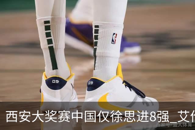 西安大奖赛中国仅徐思进8强 艾伦塞尔比爆冷出局